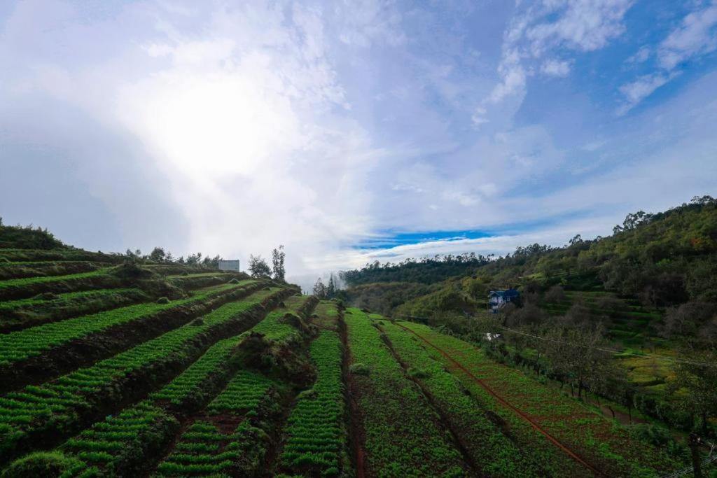Starlight Hotels Kodai Кодайканал Екстер'єр фото